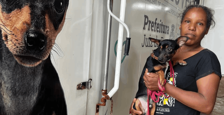 Portal de NotÃ­cias PJF | Castram�vel amplia acesso � castra��o e j� atende oito bairros em Juiz de Fora - SEBEAL | 16/4/2026