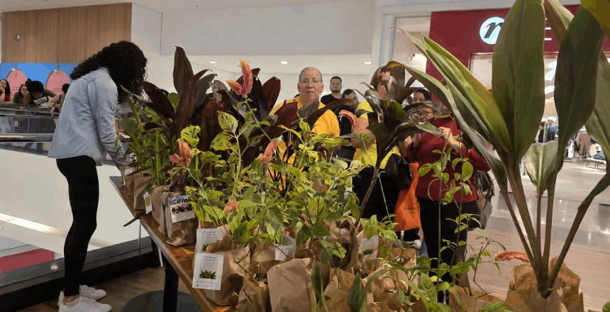 Portal de Not&iacute;cias PJF | Museu Mariano Proc�pio e Shopping Jardim Norte promovem distribui��o de mudas no Parque - MUSEU MARIANO PROC�PIO | 18/9/2026