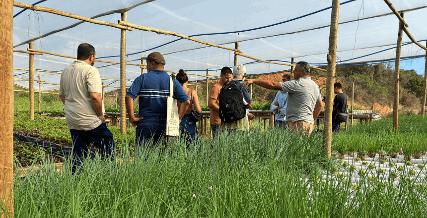 Portal de Not&iacute;cias PJF | PJF abre inscri��es para o 2� Encontro de Produtores da Horticultura com foco em Seguran�a Alimentar e H�drica - SDA | 9/10/2026