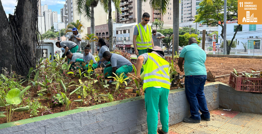 Portal de Notcias PJF | Cidade segue florida com plantios realizados pela Prefeitura | EMPAV - 26/11/2024