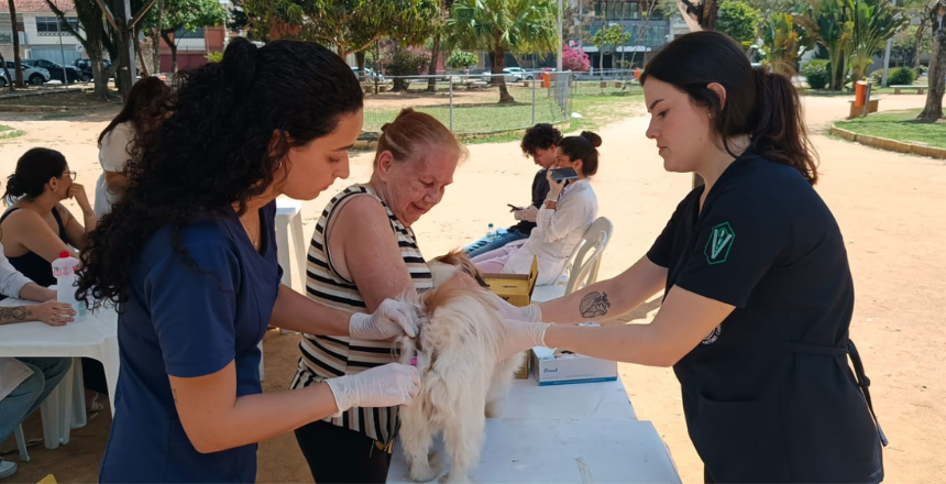 Portal de Noticias PJF | Segunda etapa da Campanha de Vacina��o Antirr�bica Animal acontece neste s�bado, 8 - SS | 4/11/2025