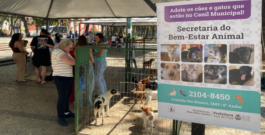 Portal de NotÃ­cias PJF | Sebeal realiza 24� evento de ado��o respons�vel no Parque Halfeld neste s�bado, 15 - SEBEAL | 13/8/2026
