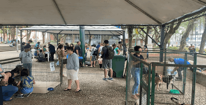 Portal de NotÃ­cias PJF | Sebeal realiza 20� evento de ado��o respons�vel no Parque Halfeld neste s�bado, 11 - SEBEAL | 8/7/2026